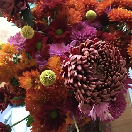 The Monica 5* Ærøskøbing