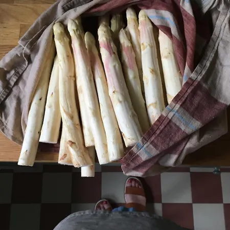 Szálloda The Monica Ærøskøbing