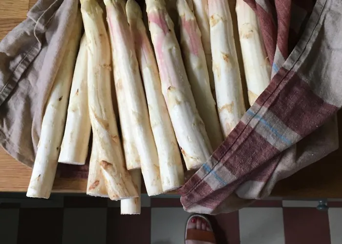 Hotel The Monica Ærøskøbing